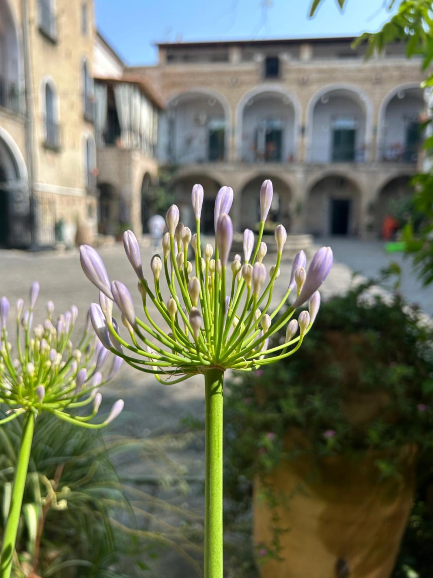 CaivanoPalazzo Capece公寓 外观 照片